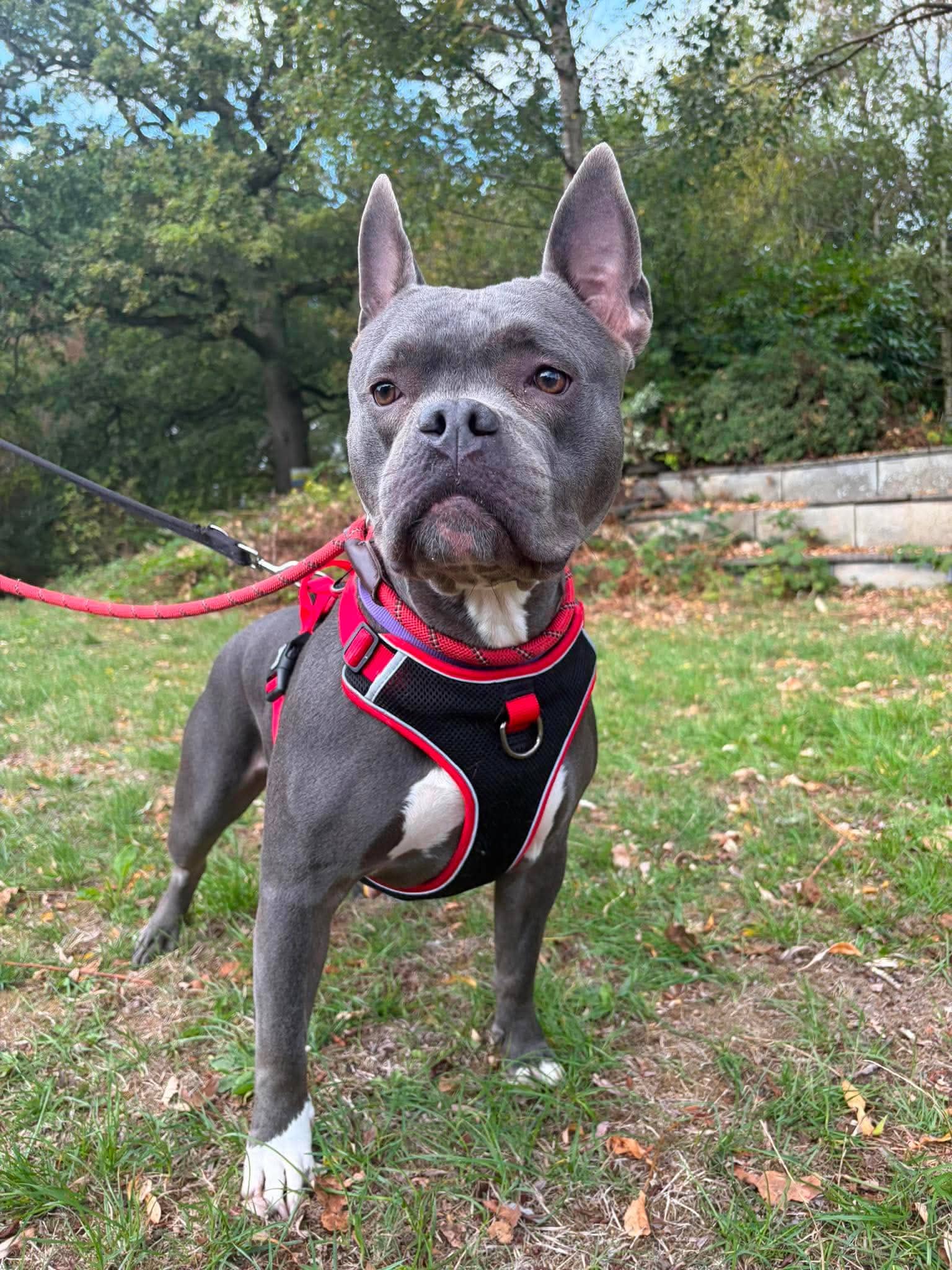 Nyla, photo 5