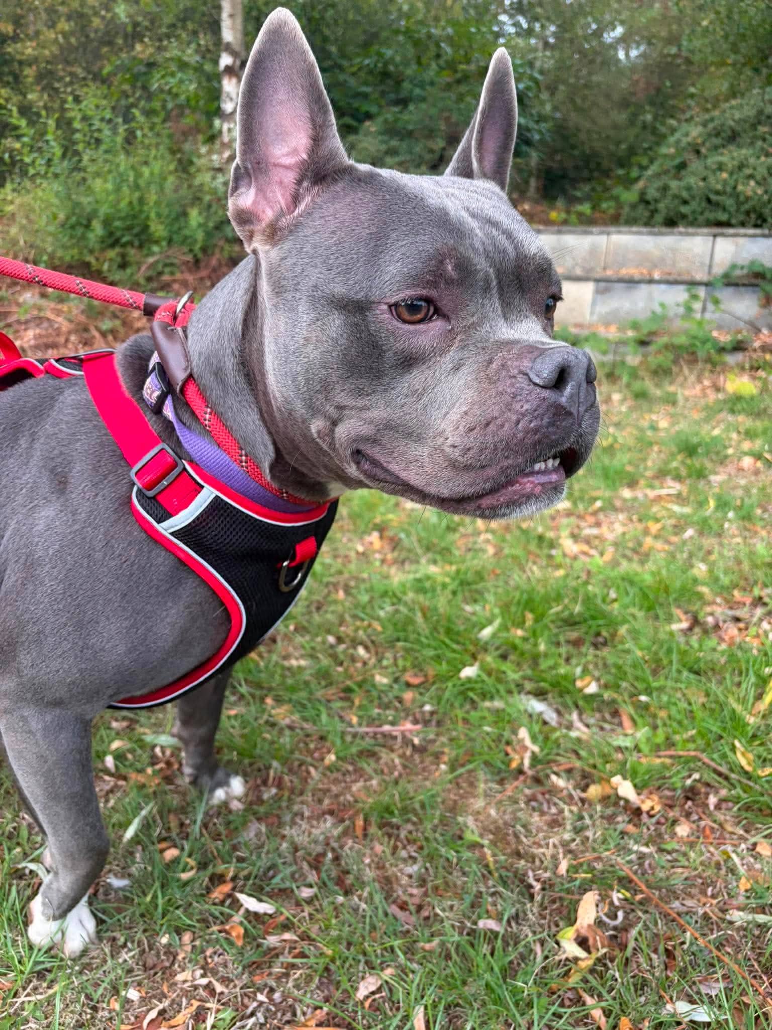 Nyla, photo 3
