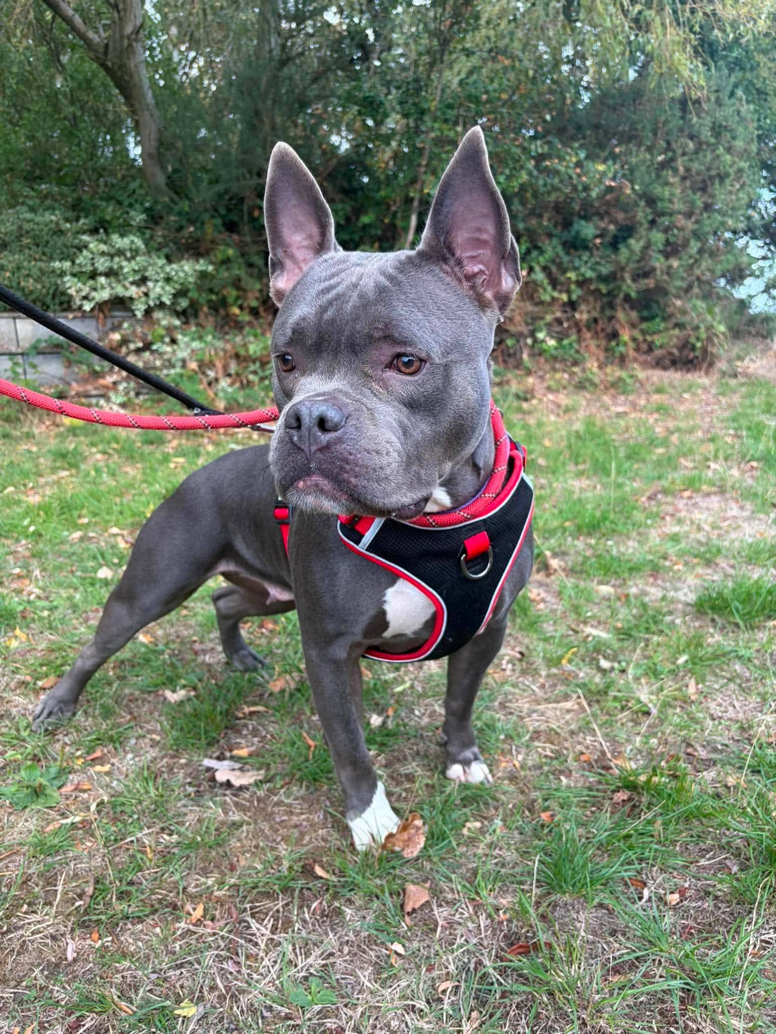 Nyla, photo 6