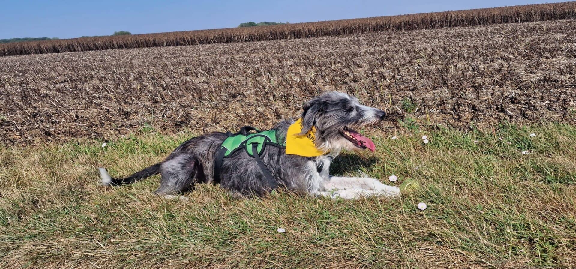 Max, photo 3