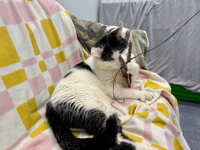 Bob Pawtimer, photo 2