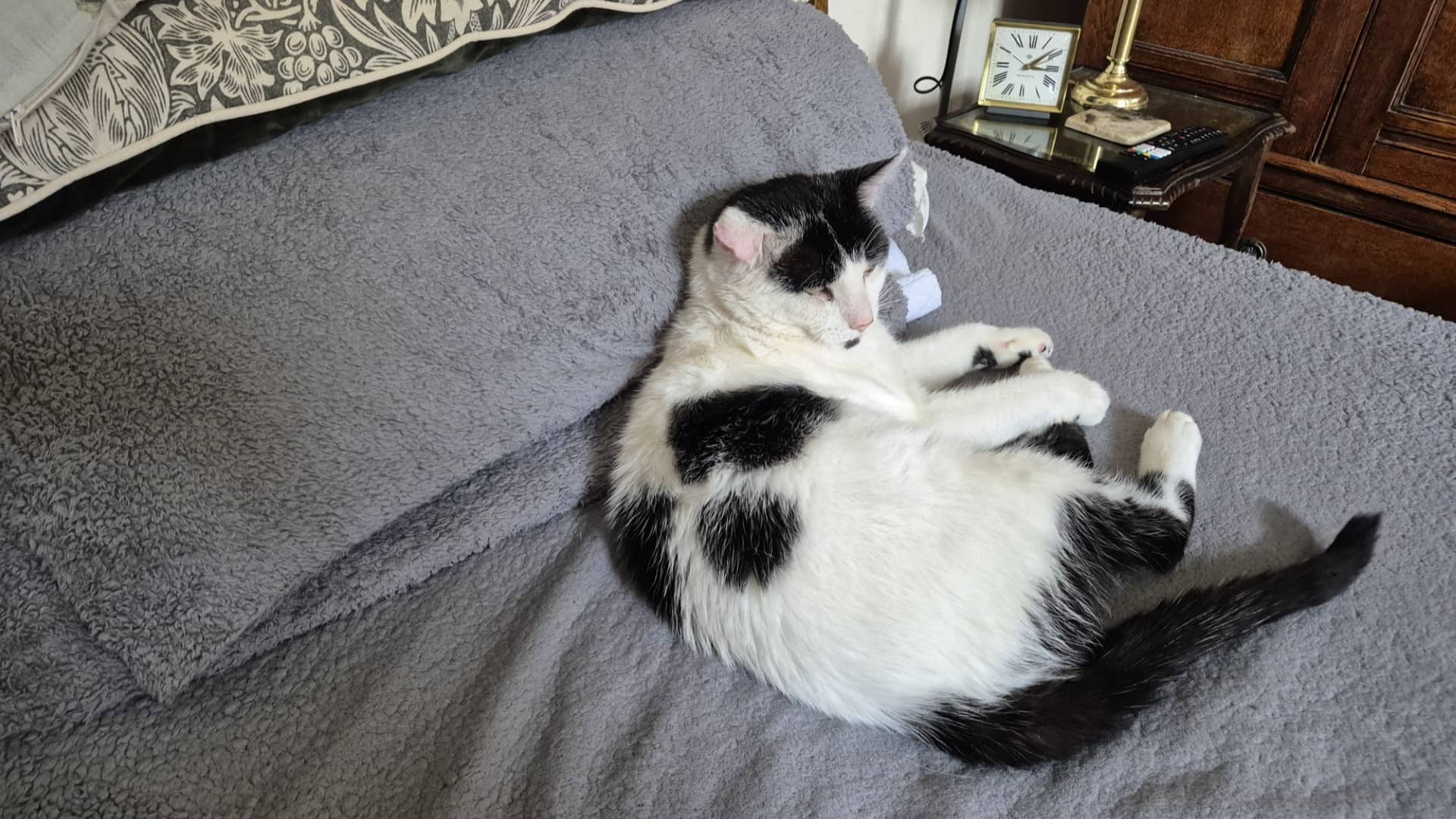 Bob Pawtimer, photo 6
