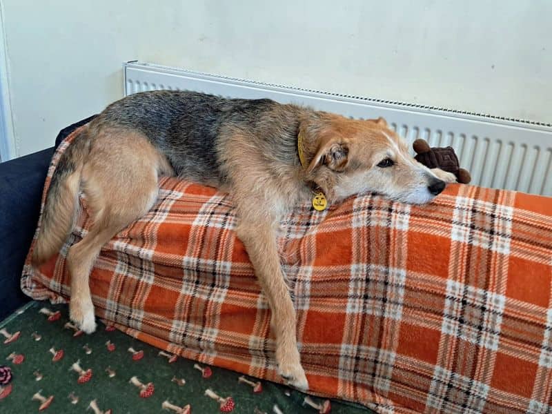 Winnie, photo 5