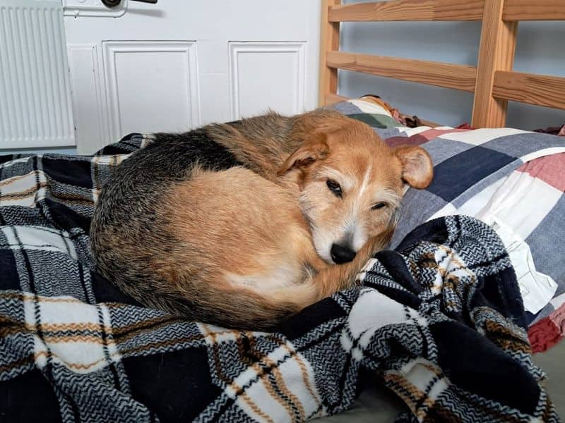 Winnie, photo 3