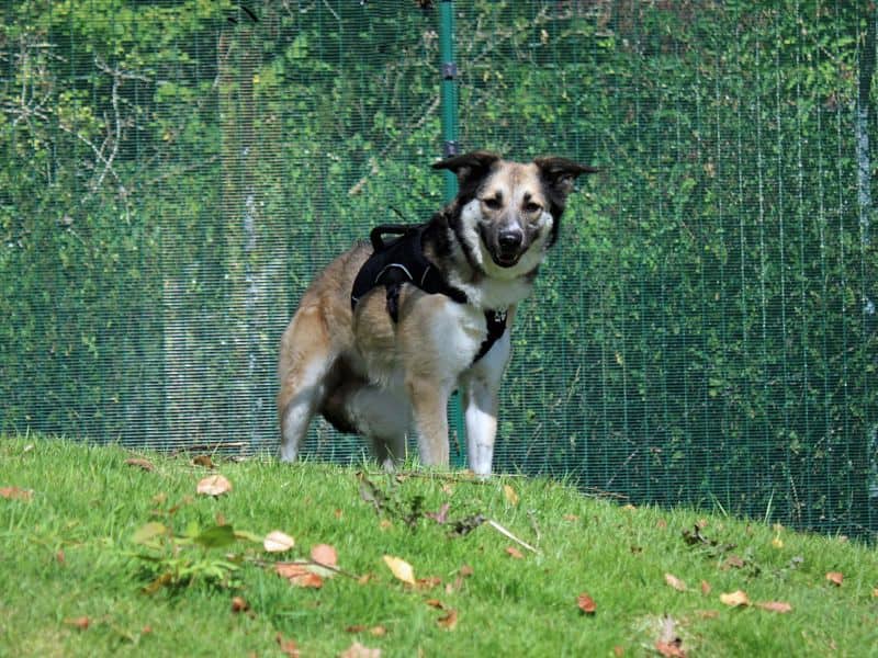 Bonnie, photo 3
