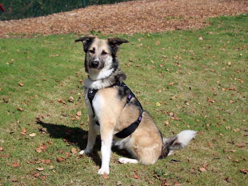 Bonnie, photo 2