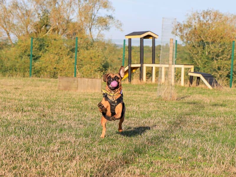 Dora, photo 5