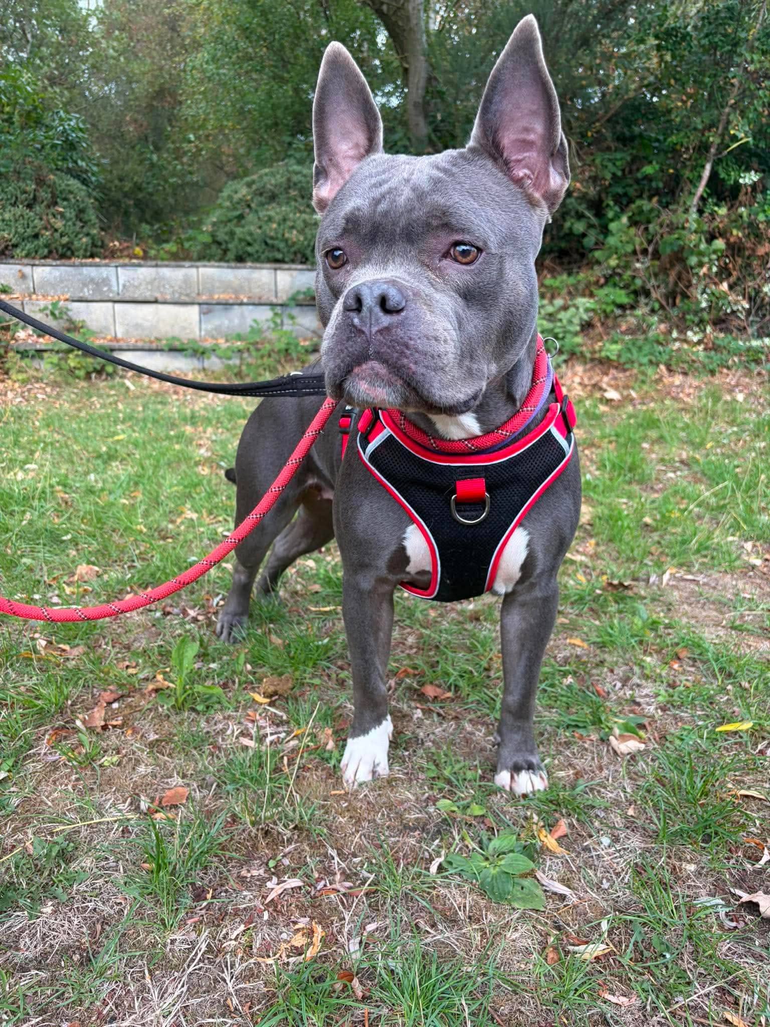 Nyla, photo 4
