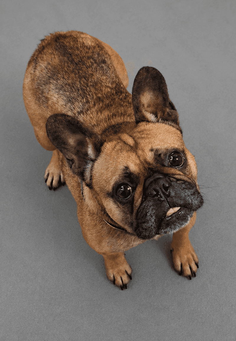 Maggie, photo 5