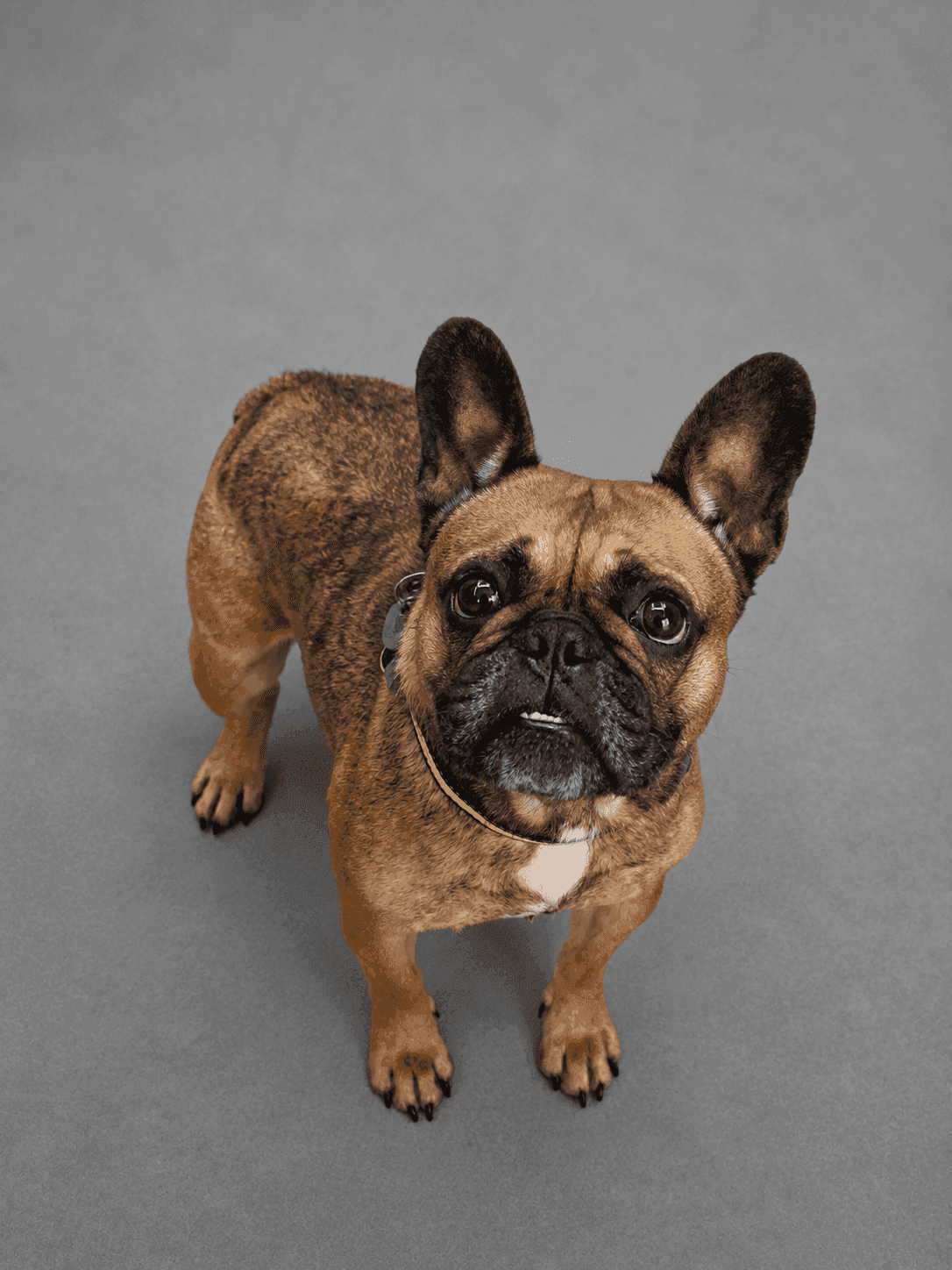 Maggie, photo 4