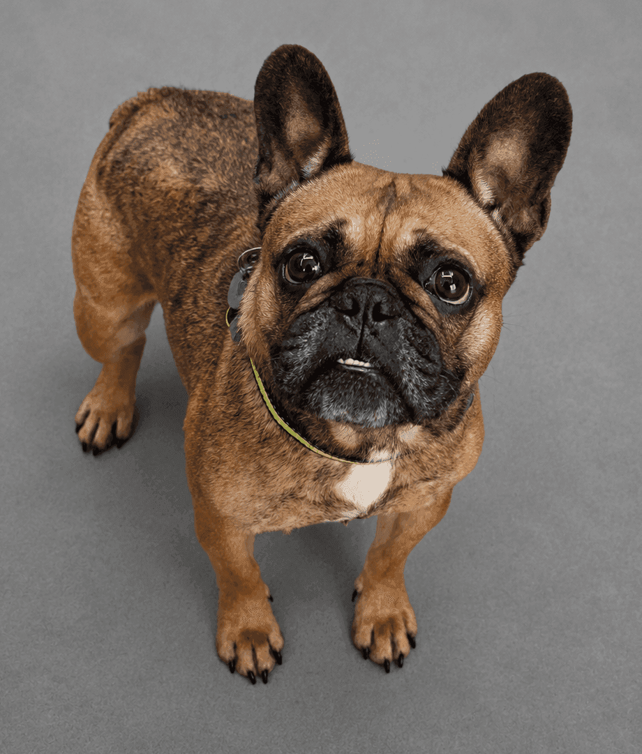Maggie, photo 6