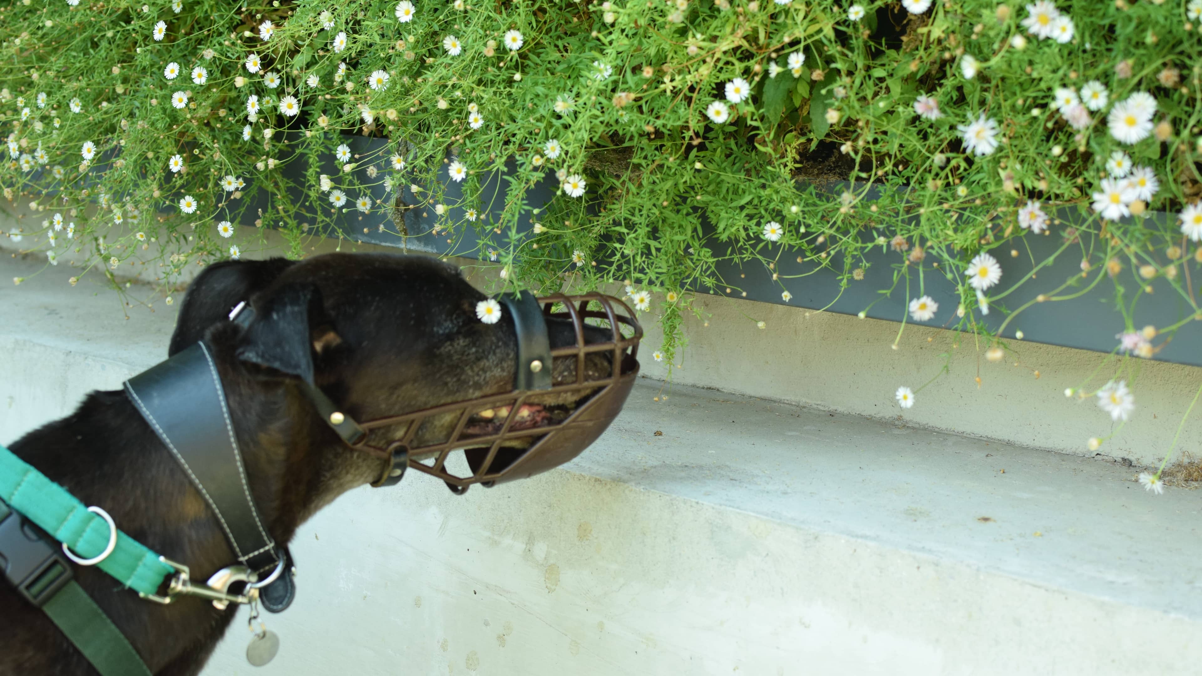 Gary, photo 2