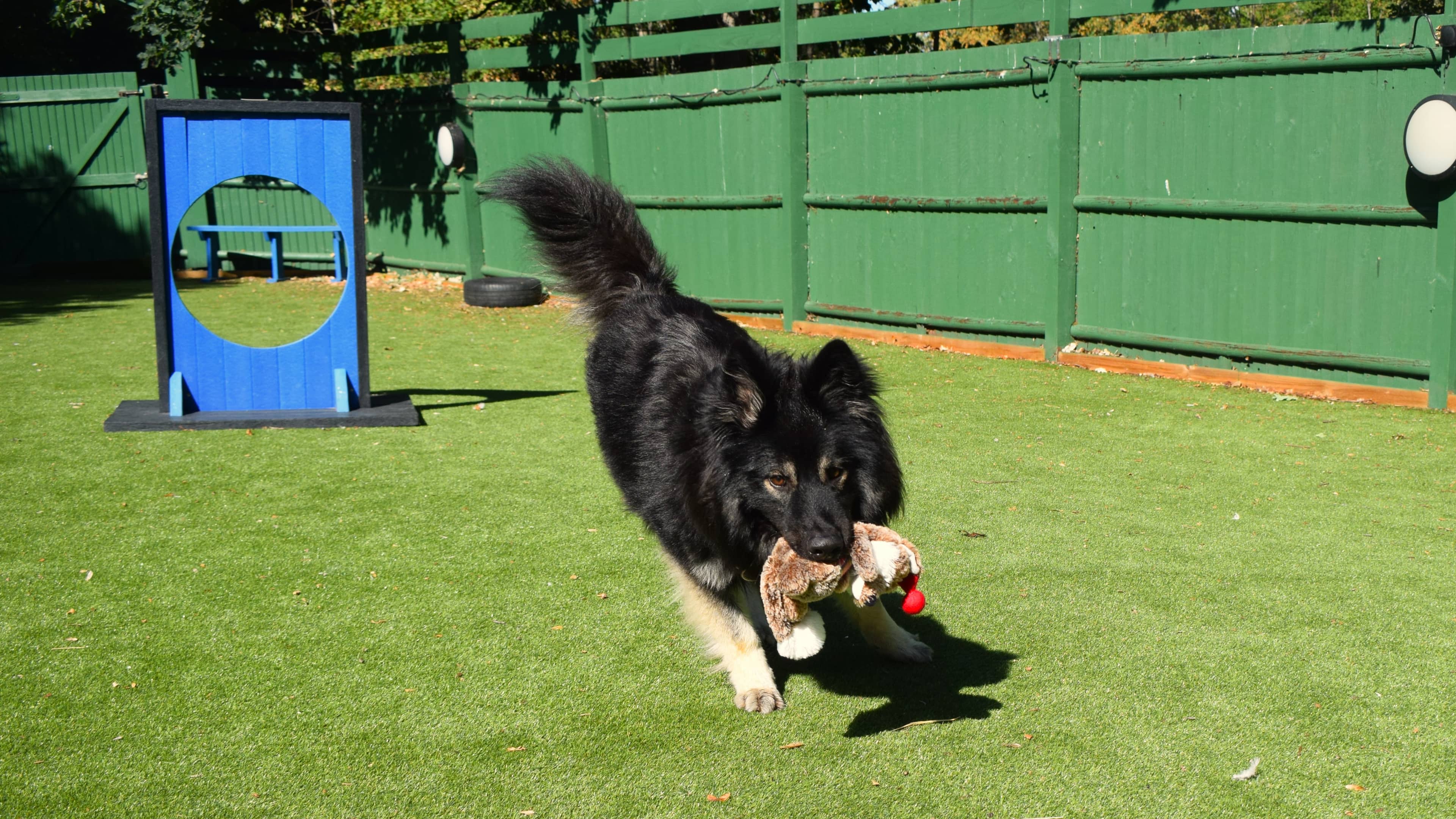 Jaxx, photo 2
