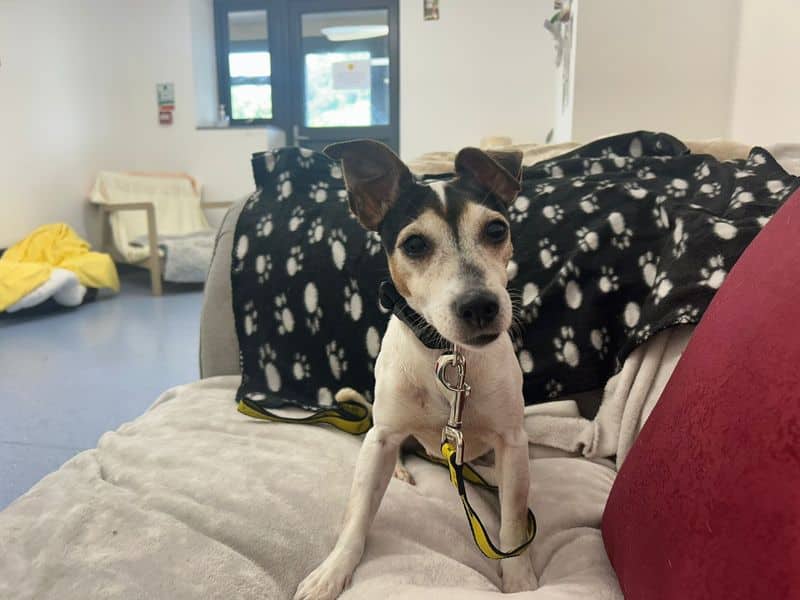 Esther, photo 3