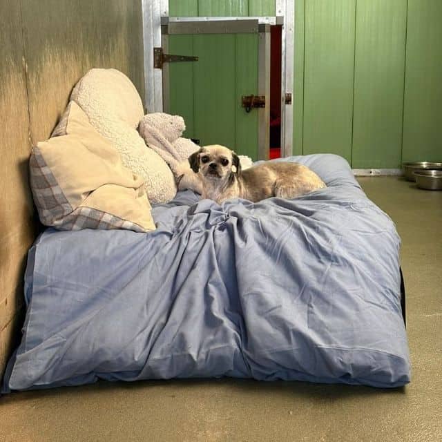 Winnie, photo 2